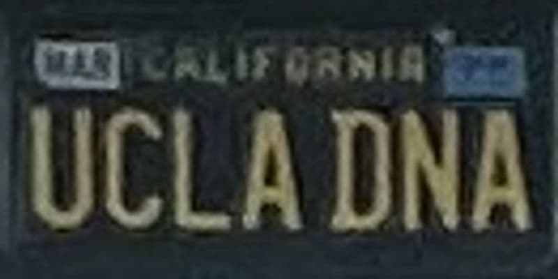 UCLA DNA