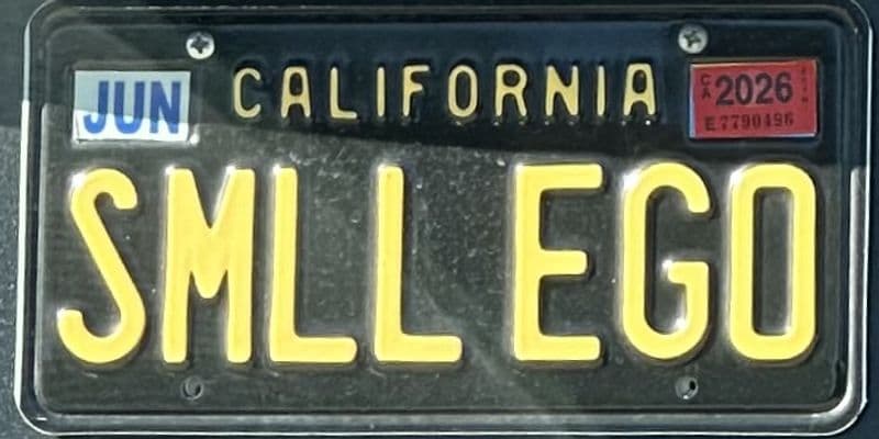 SMLL EGO
