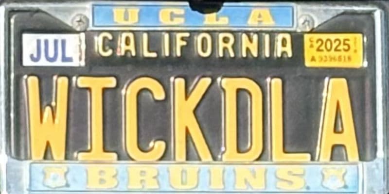 WICKDLA