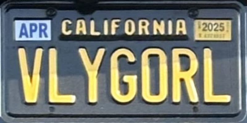 VLYGORL