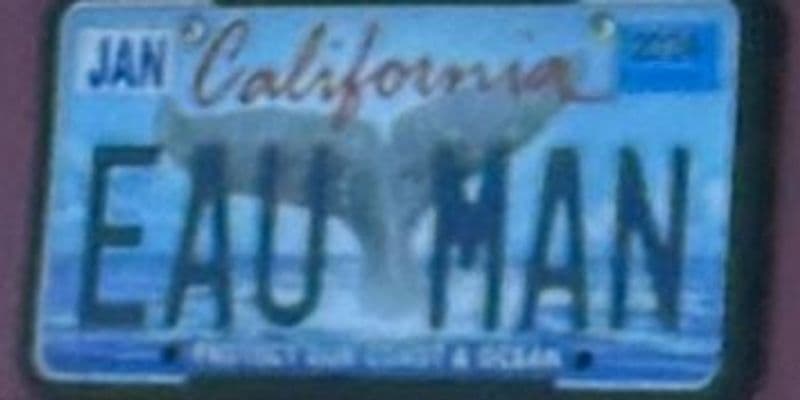 EAU MAN