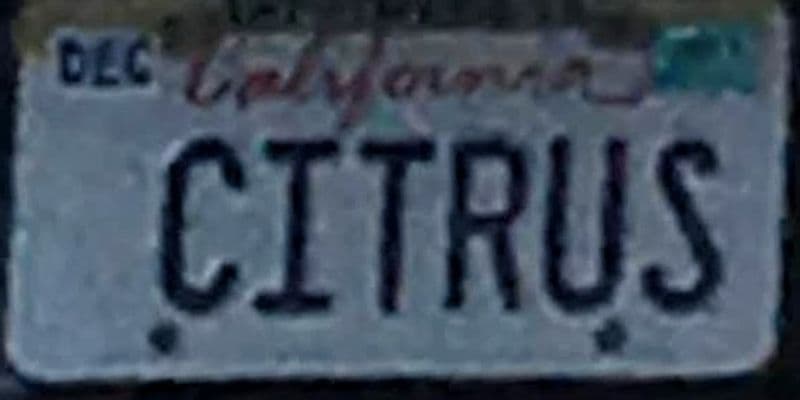 CITRUS
