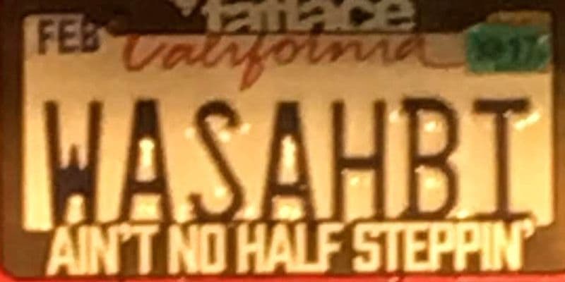 WASAHBI