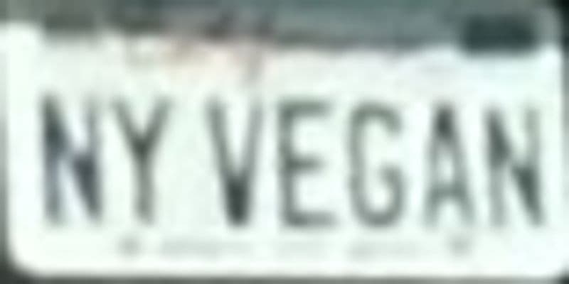 NY VEGAN