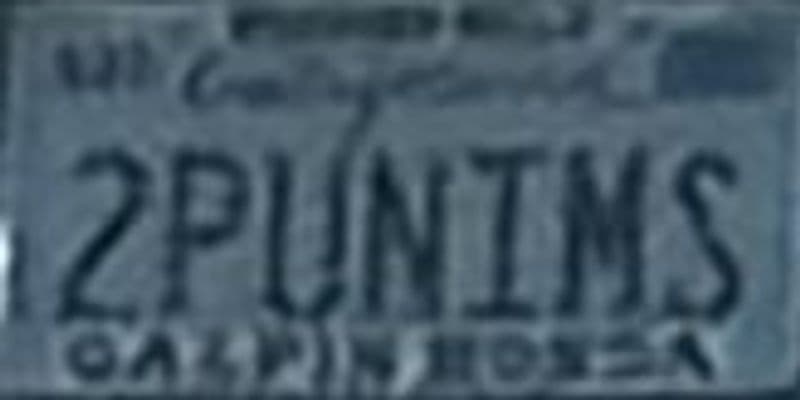 2PUNIMS