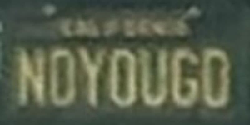 NOYOUGO