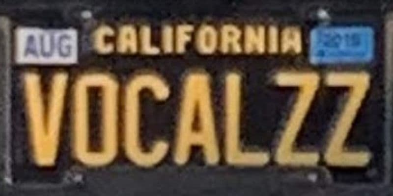 VOCALZZ
