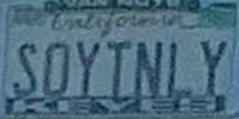 SOYTNLY