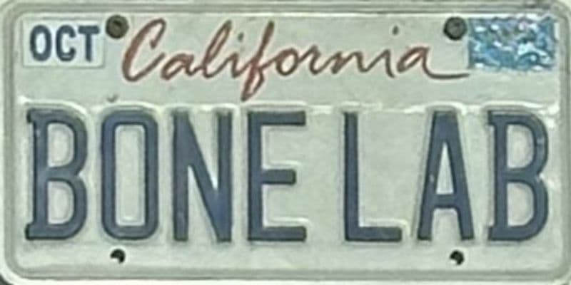 BONE LAB